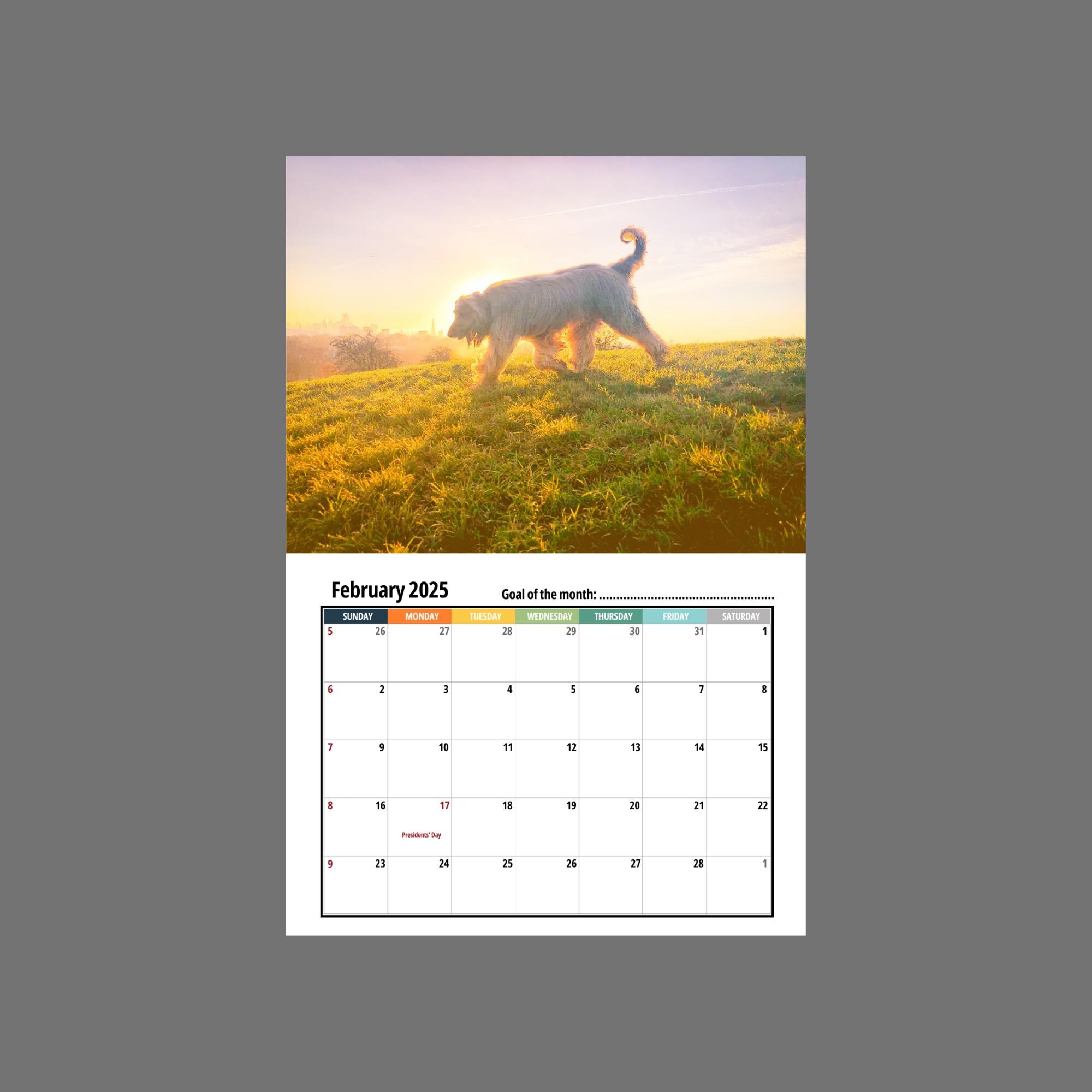 Afghan Hound Wall Calendar 2025 - Etsy