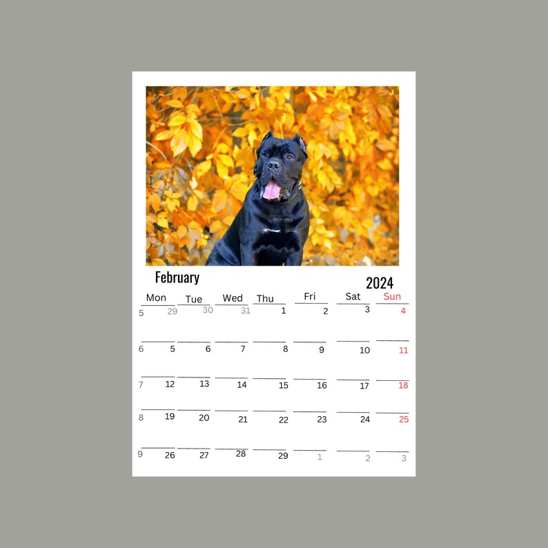 Cane Corso Wall Calendar 2024 Etsy