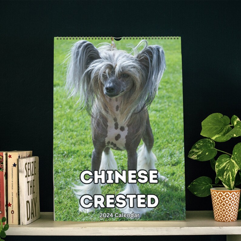 Chinese Crested Wall Calendar 2024 Etsy