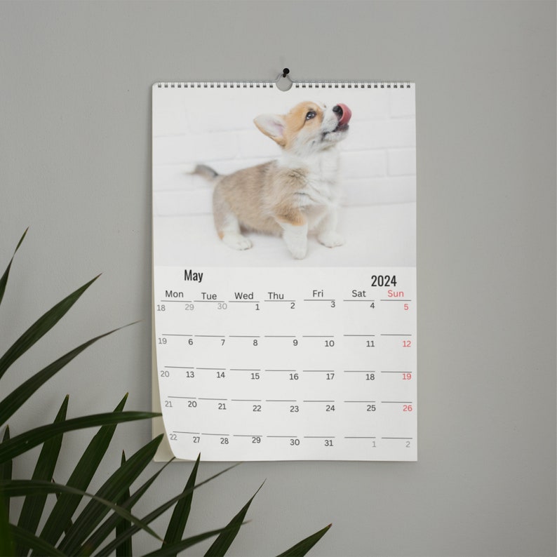 Puppies Calendar 2024 Etsy