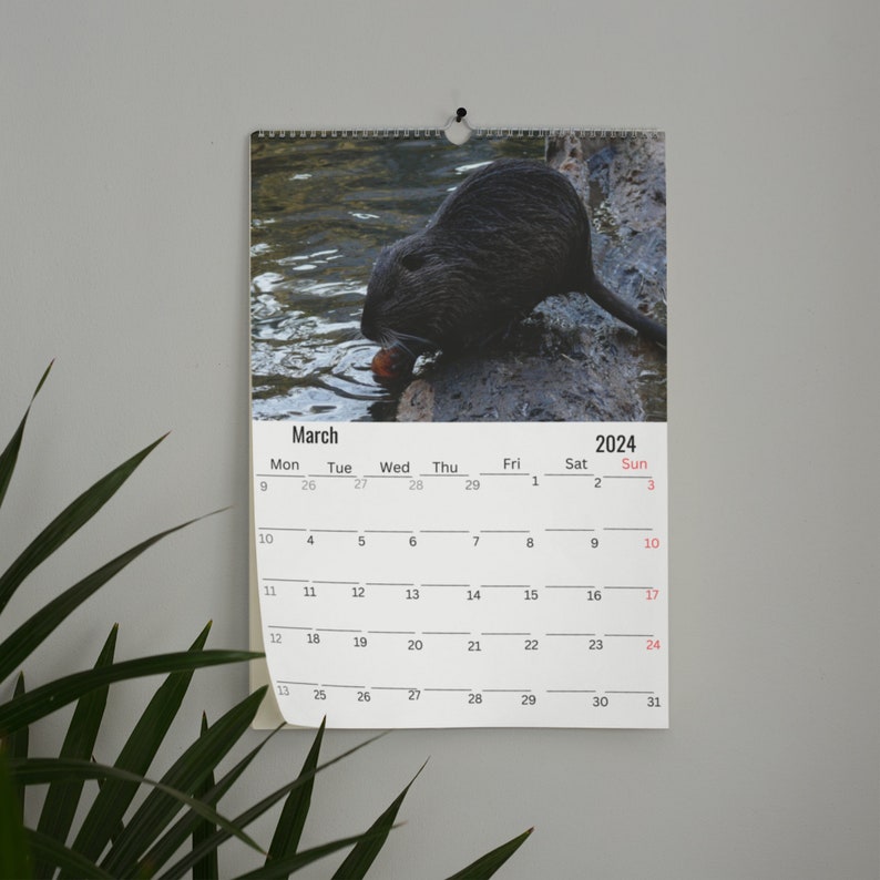 Beavers Wall Calendar 2024 Etsy