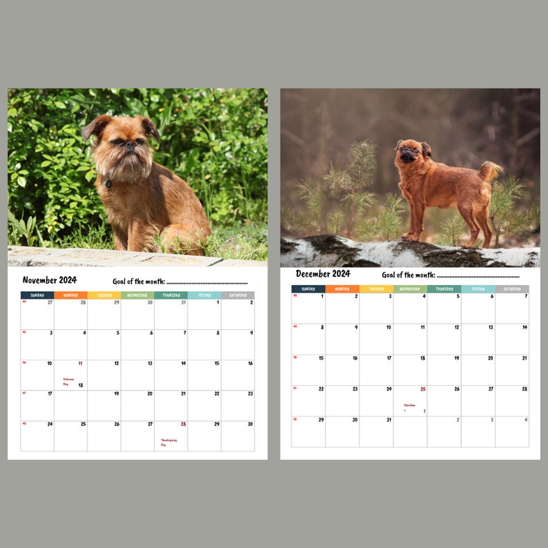 Brussels Griffon Calendar 2024 Etsy