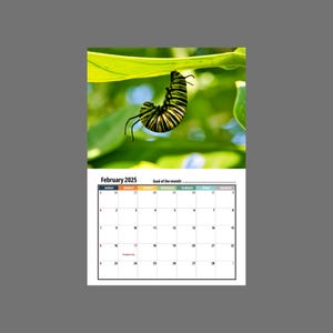 Caterpillar Wall Calendar 2025 Etsy Caterpillar Wall Calendar 2025 Etsy