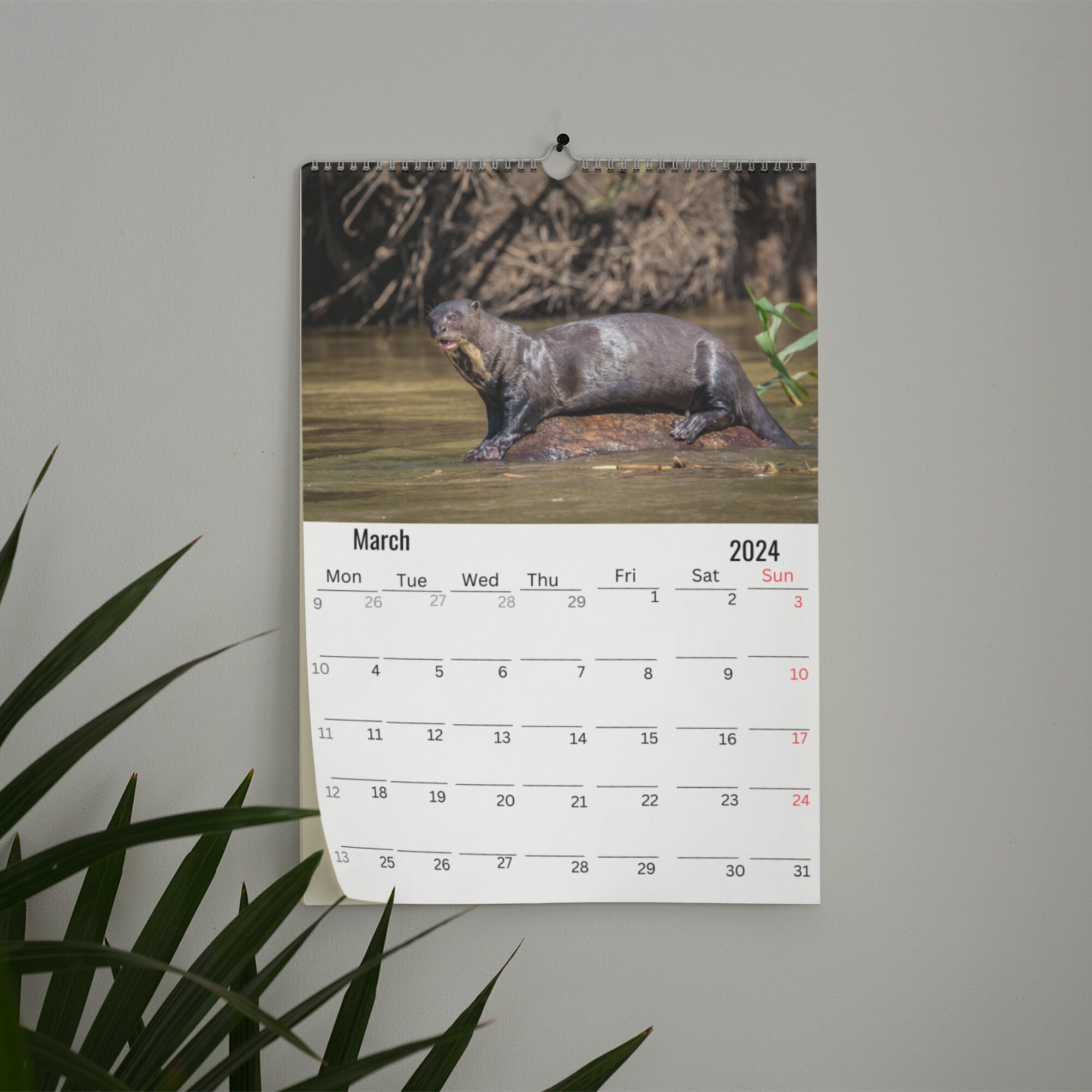 Otters Calendar 2024 Etsy