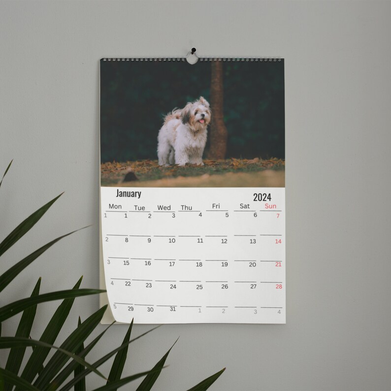 Havanese Wall Calendar 2024 Etsy