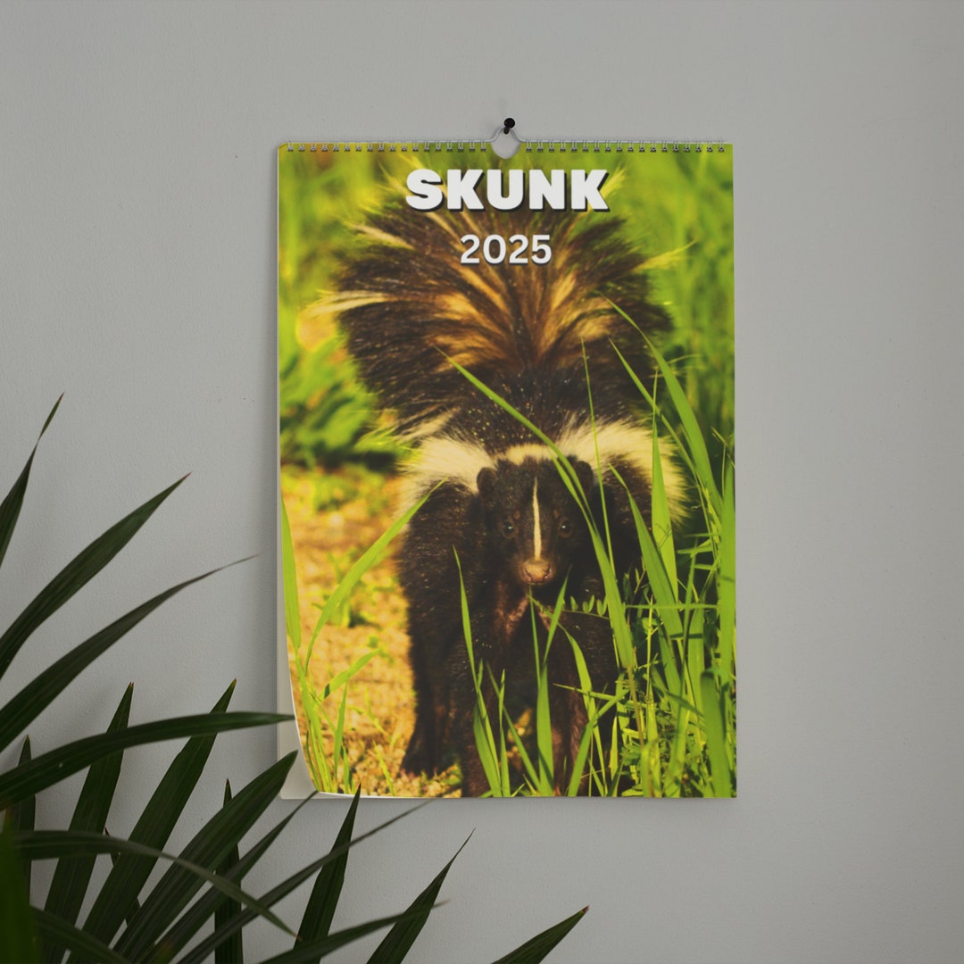 Skunk Wall Calendar 2025 Etsy