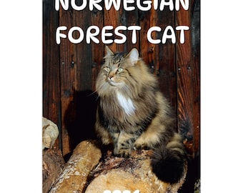 Norwegian Forest cat Wall Calendar 2026