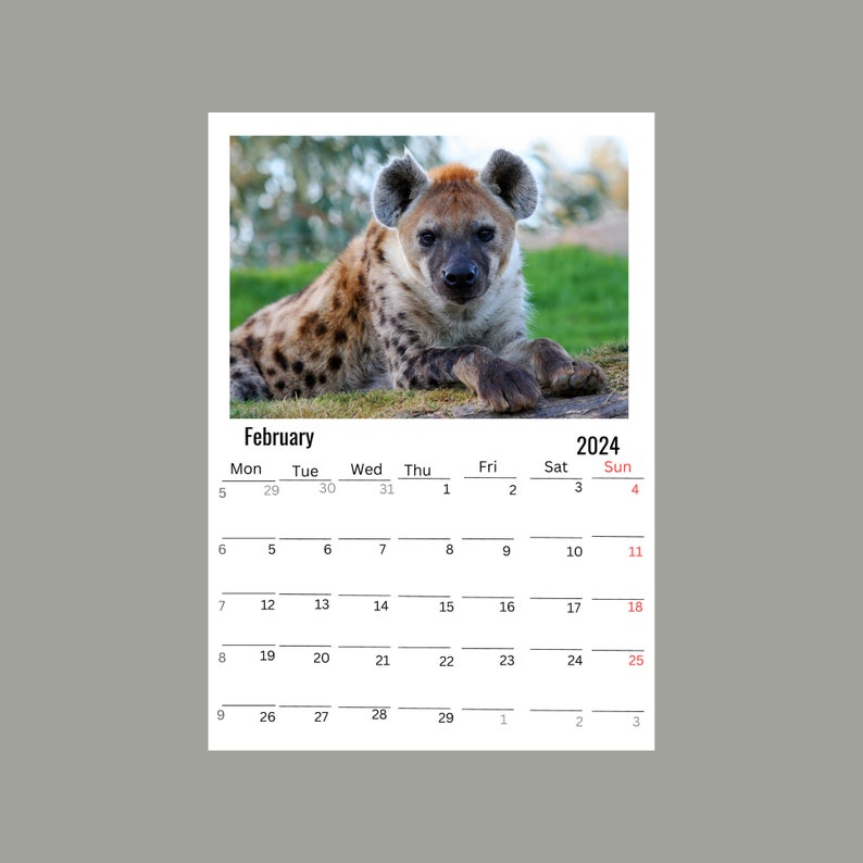 Hyena Wall Calendar 2025 Etsy
