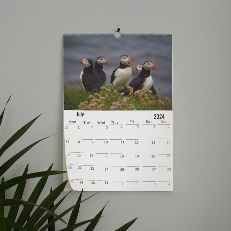 Puffin Wall Calendar 2024 Etsy