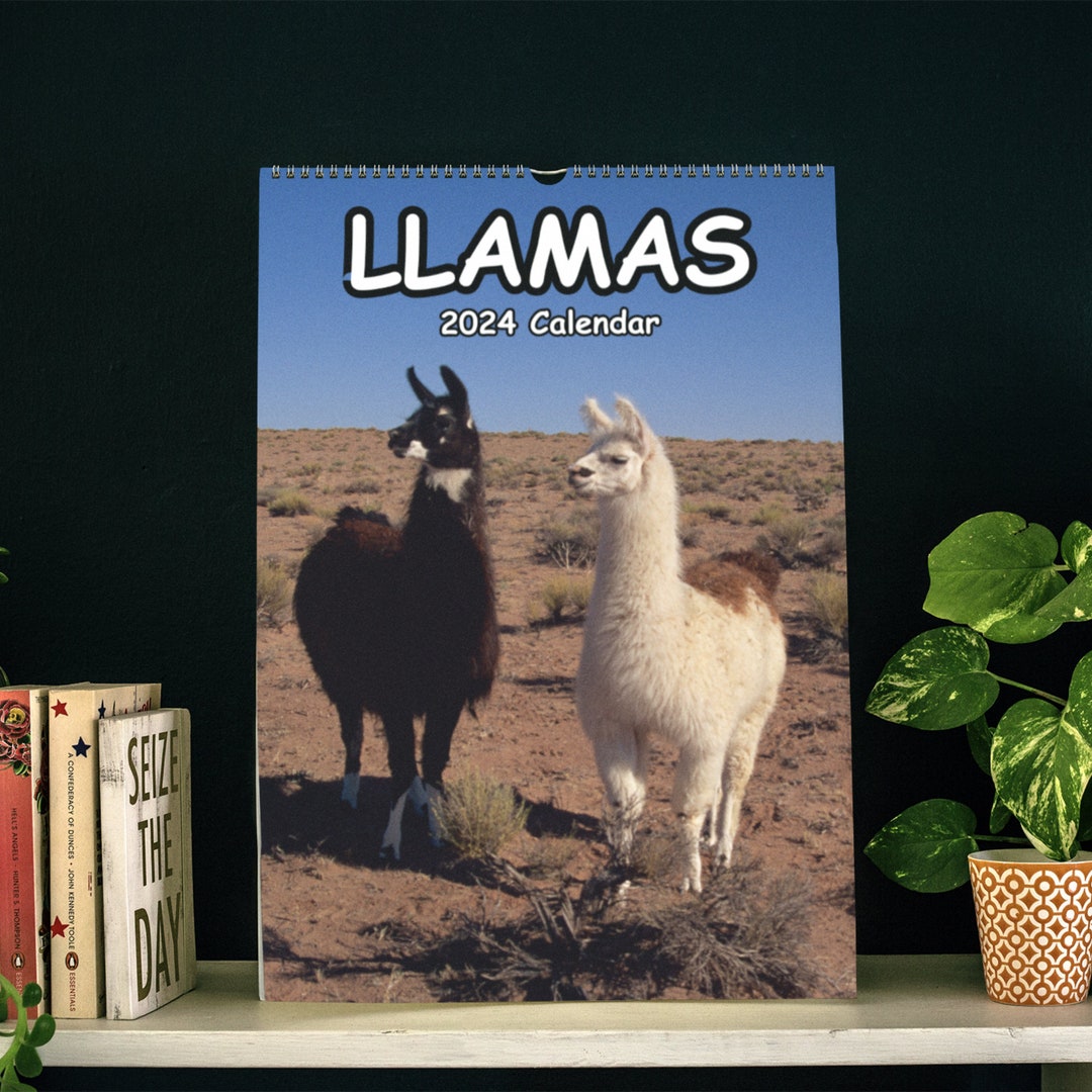 Llamas Wall Calendar 2024 Etsy