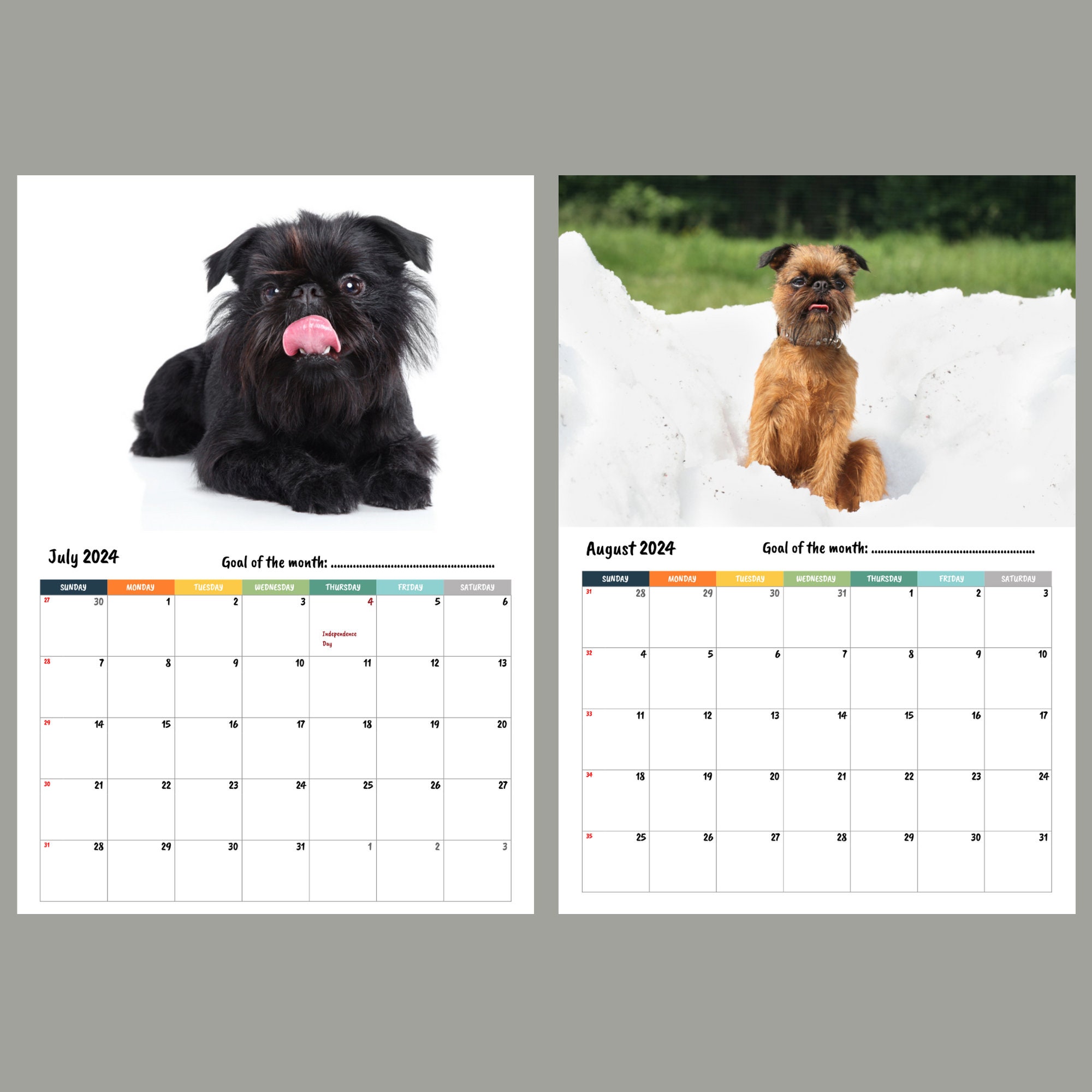 Brussels Griffon Calendar 2024 Etsy