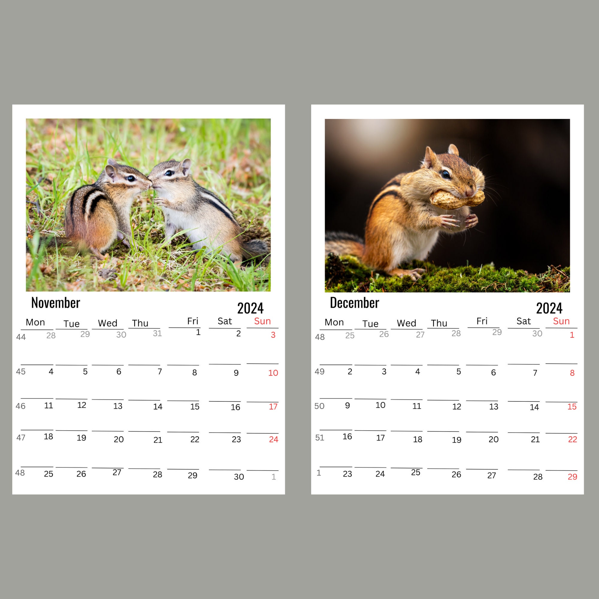 Chipmunks Wall Calendar 2024 Etsy