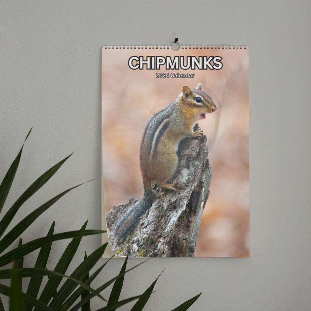 Chipmunks Wall Calendar 2024 Etsy
