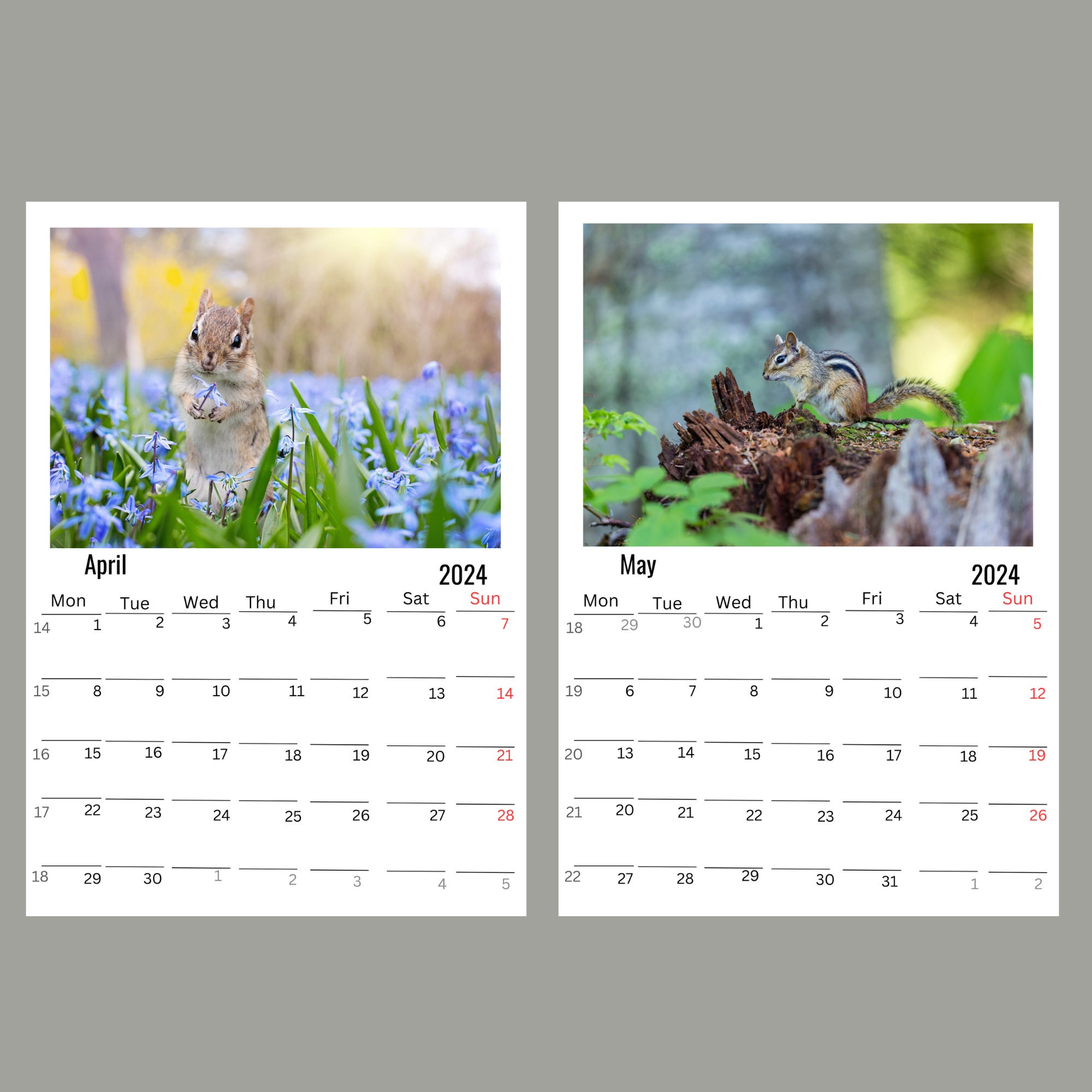 Chipmunks Wall Calendar 2024 Etsy