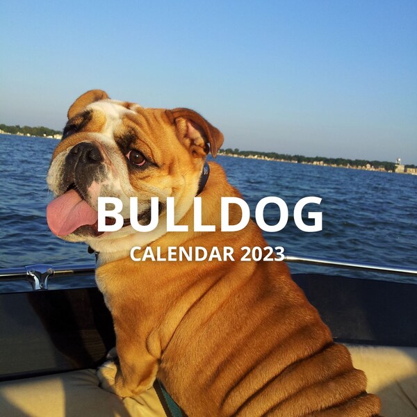 Bulldog Desk Calendar Etsy