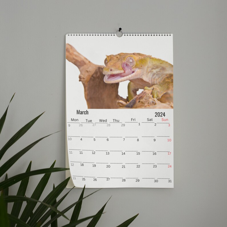 Gecko Wall Calendar 2025 Etsy