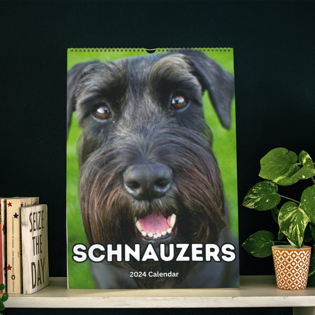 Schnauzers Wall Calendar 2024 Etsy