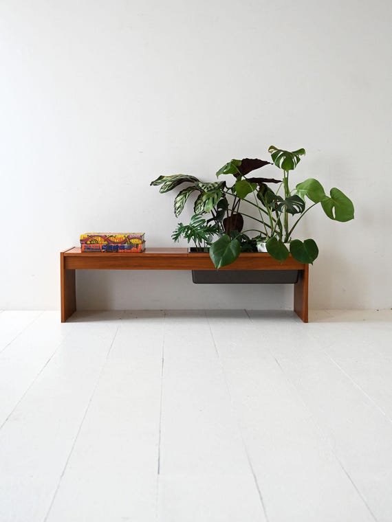 olivenbaum blumentopf knorriger Olivenbaum 175 Jahre – toskanagartenshop main image 0