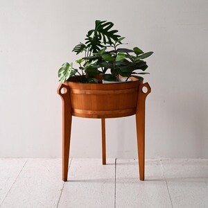 Può includere: Un portavaso in legno con una fioriera rotonda a forma di botte. Il supporto ha tre gambe e maniglie decorative. La fioriera è piena di piante verdi lussureggianti, creando un'esposizione naturale ed elegante. Il supporto è in legno marrone chiaro.