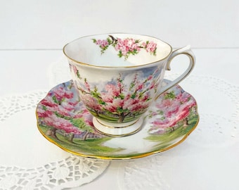 Tea Cup / Royal Albert / Demitasse Cup & Saucer / Pink Scenery/ Blossom Time Tea Cup / England Tea Cup