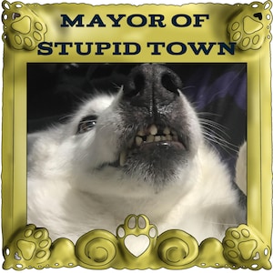 Burgemeester van domme stad transparante sticker grap sticker huisdier humor hond moeder foto poloroid sticker
