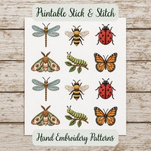 Insect Hand Embroidery Stick and Stitch PDF Pattern, Butterfly Bee Moth Dragonfly Ladybug Embroidery Designs, Custom Gift