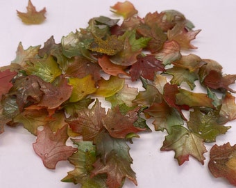 Hand Painted Acrylic Maple Leaves: Fall Colors, 19mm (30 Pieces)