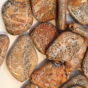 Puede incluir: Una colección de cuentas de piedra de ágata de color marrón, blanco y naranja con un patrón moteado. Las cuentas tienen una forma irregular y un acabado liso y pulido.
