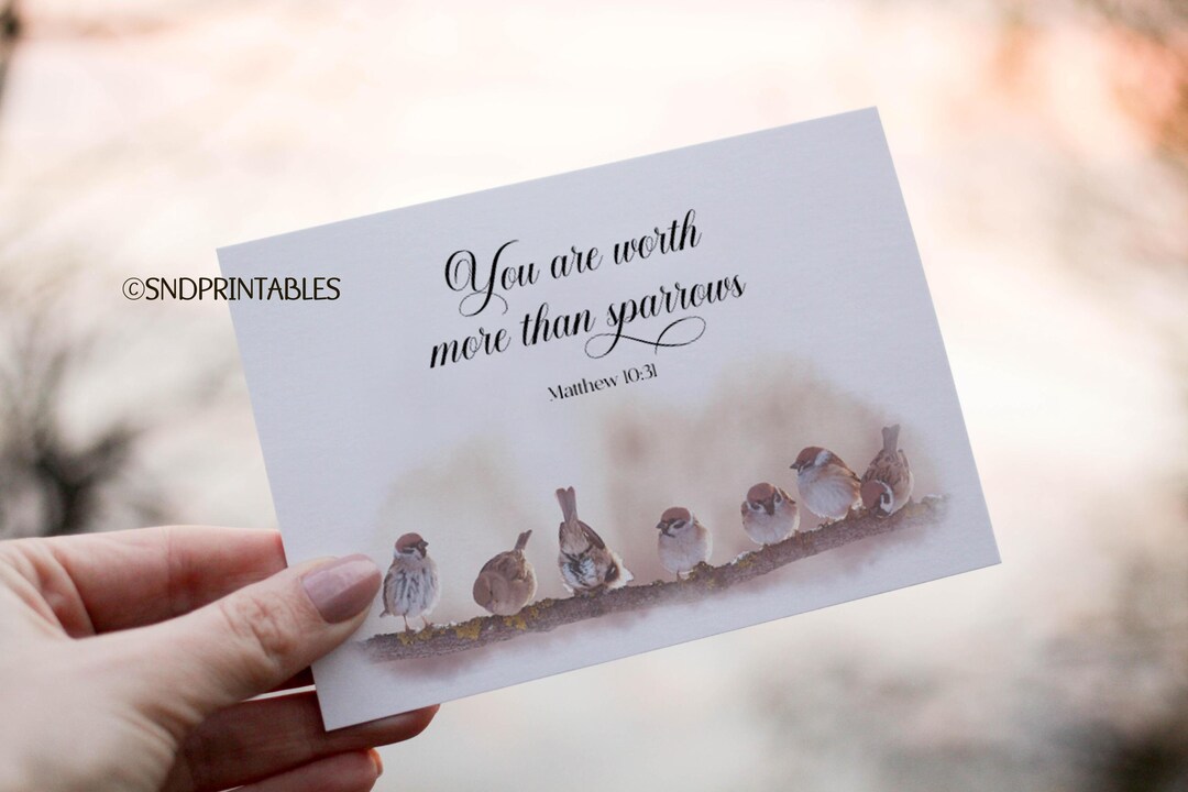 You Are Worth More Than Sparrows Encouraging Greeting Card 5 X 7 With ...