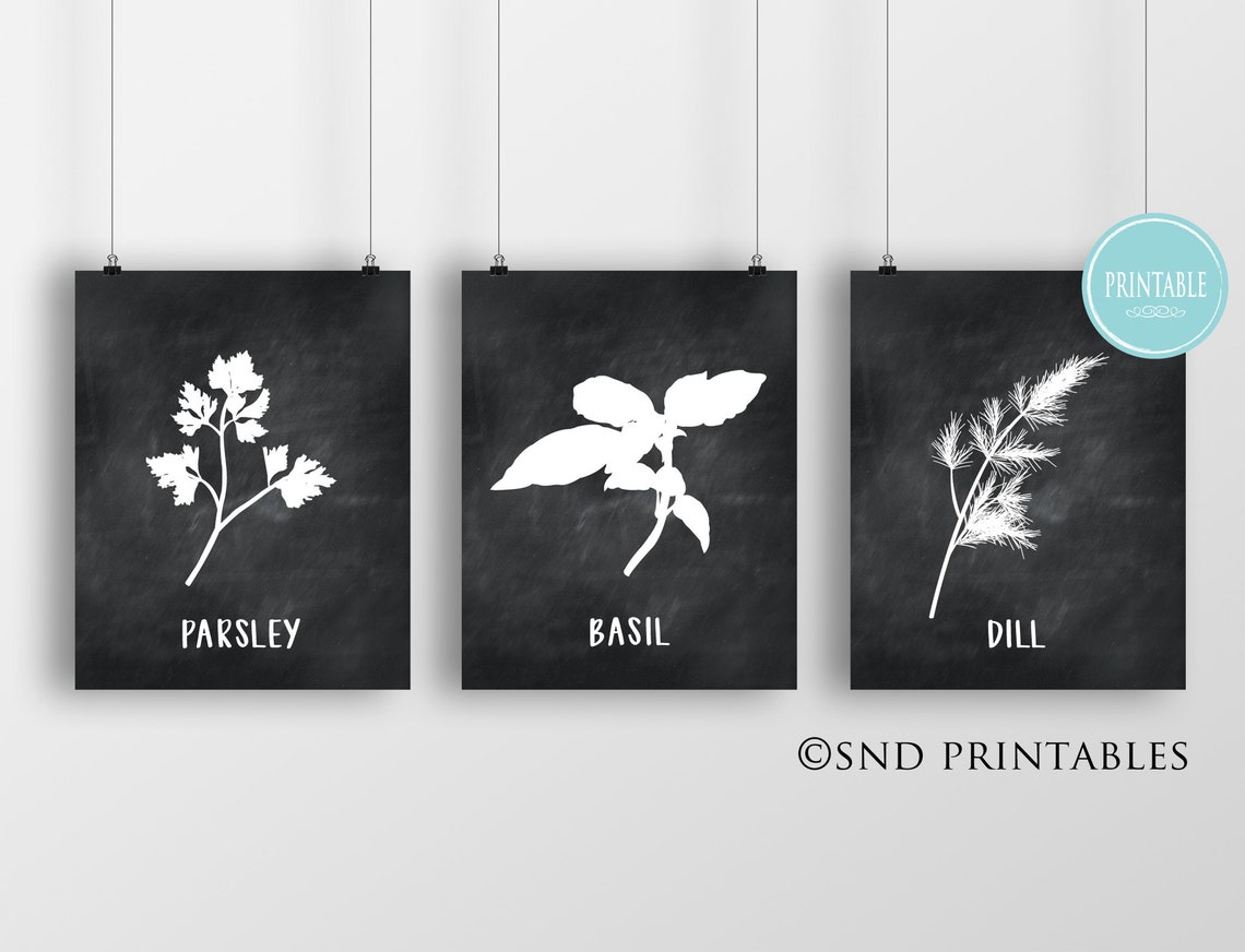 Kitchen Herbs II Trio Printables in 8x10 and 12x16 Digital - Etsy