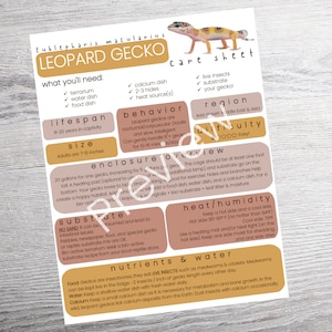 Leopard Gecko Care Sheet PRINTABLE Reptile Guide How to Guide Leopard Gecko Care Sheet PRINTABLE Reptile Guide How to Guide