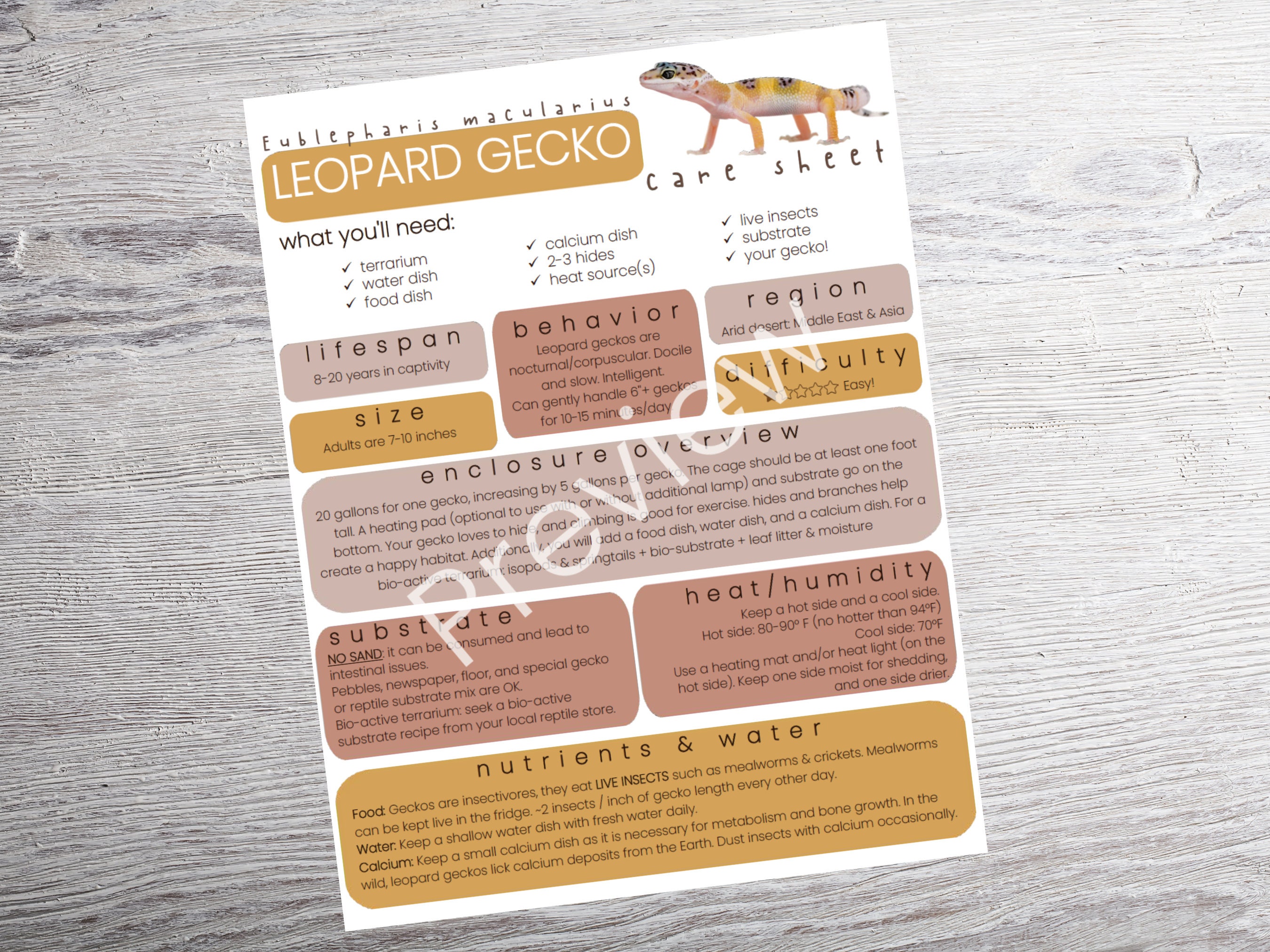 Leopard Gecko Care Sheet PRINTABLE Reptile Guide How to Guide