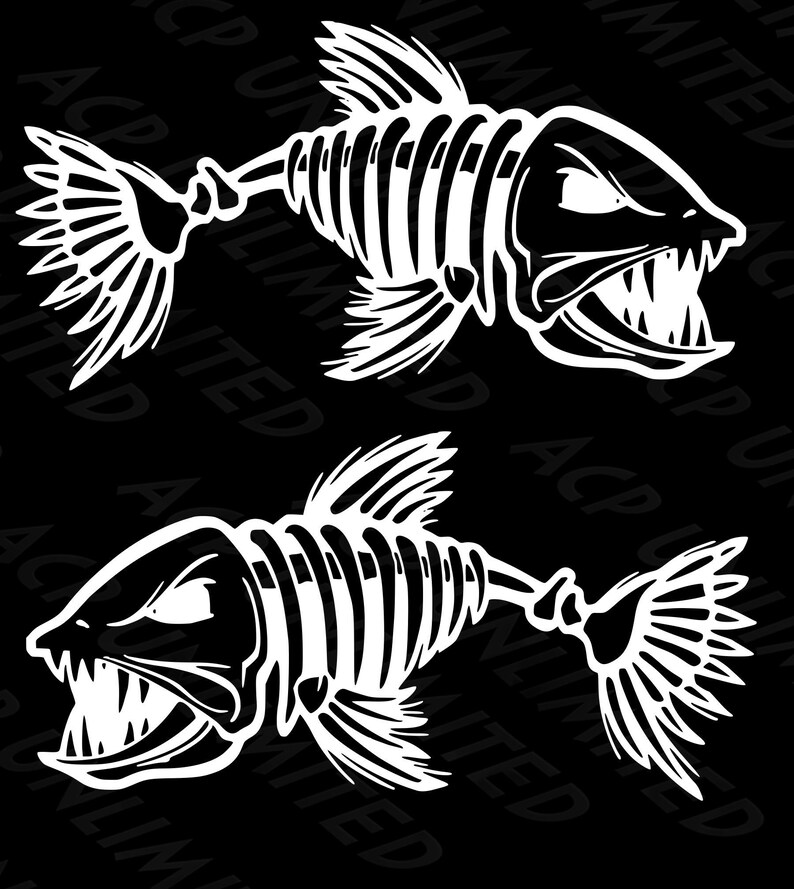 2 Fish Skeleton Decals – 12" Vinyl Stickers For Truck, Boat, Kayak, Fishing Gear, Waterproof & Durable-936291