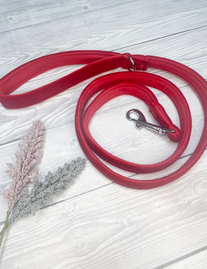 Velvet Lead Plush Lead Red Velvet Luxe Lead Christmas dog lead Fashion Lead Dog Lead