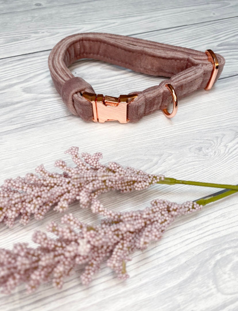 Blush Velvet Luxe collar, Velvet Collar, Plush collar, Fashion Collar…