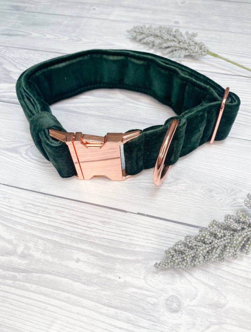 Green Velvet Luxe collar, Velvet Collar, Plush collar, Fashion Collar…