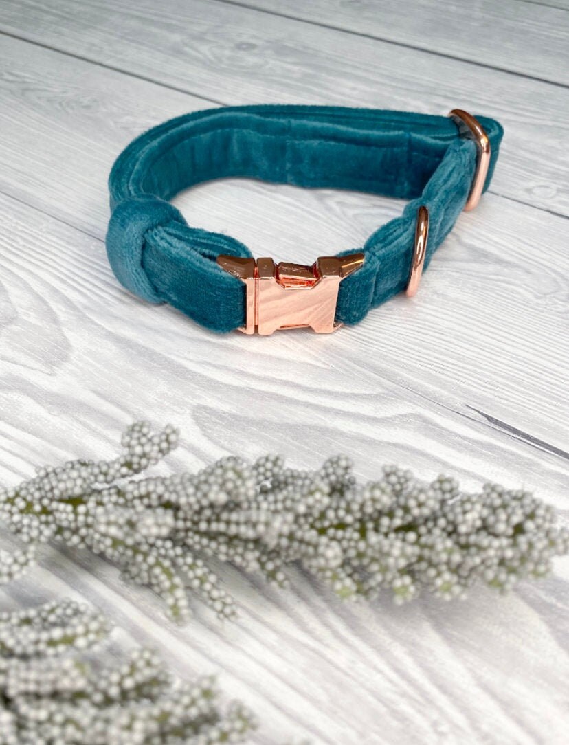 Teal Velvet Luxe collar, Velvet Collar, Plush collar, Fashion Collar,…