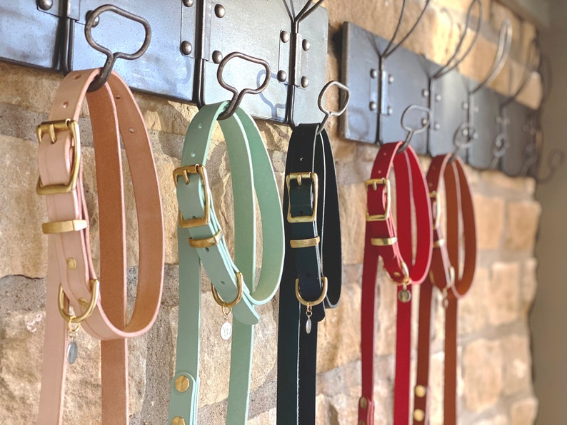 Natural Tan Leather dog lead with solid brass hardware and O-Ring Beige Leather dog Leash.