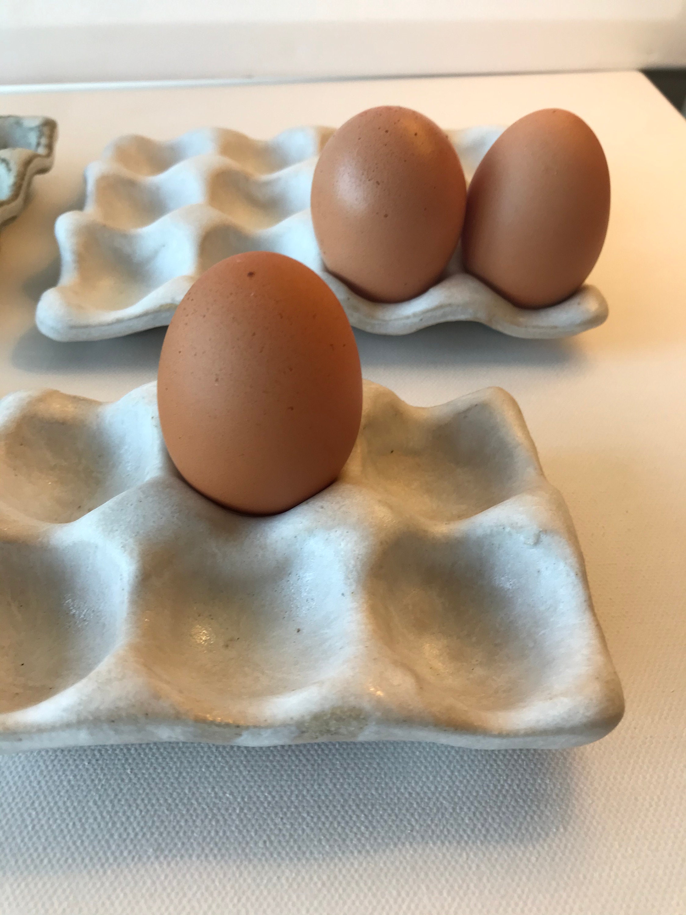 Egg tray for 6 or 12 eggs for medium or large eggs Etsy