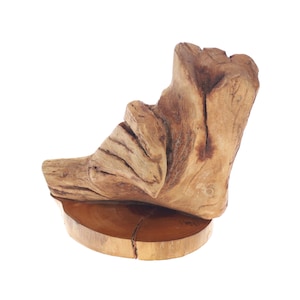 Driftwood Sculpture - &quot;OPHIS BOOT&quot; - beautiful driftwood sculpture, beach driftwood, eco friendly art, forest sculpture
