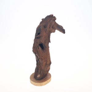 Driftwood Sculpture - &quot;HIPPION&quot; - beautiful driftwood sculpture, beach driftwood, eco friendly art, forest sculpture