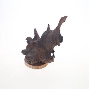 Driftwood Sculpture - &quot;ELEPHAS&quot; - beautiful driftwood sculpture, beach driftwood, eco friendly art, forest sculpture