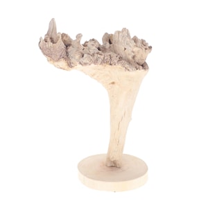 Driftwood Sculpture - &quot;KORONIS&quot; - beautiful driftwood sculpture, beach driftwood, eco friendly art, forest sculpture