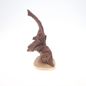 Driftwood Sculpture - &quot;ARCUS&quot; - beautiful driftwood sculpture, beach driftwood, eco friendly art, forest sculpture