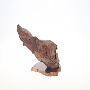 Driftwood Sculpture - &quot;LYKOS&quot; - beautiful driftwood sculpture, beach driftwood, eco friendly art, forest sculpture.