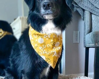 Spring Yellow Flower Dog Bandana - Nature Dog Bandana - Spring Dog Bandana - Tie on Dog Bandana - Dog Picture Ideas