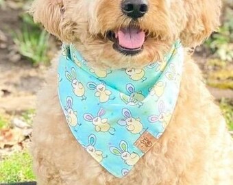 Easter Tie On Dog Bandana - Easter Picture Ideas - Easter Chick Dog Bandana