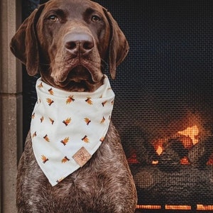 Camping Tie On Dog Bandana Bonfire Themed Bandana Fire Dog Bandana Campfire Themed Dog Bandana Nature Dog Bandana image 1