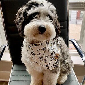 Let's Celebrate Champagne Dog Dog Bandana Engagement Dog Bandana I do Dog Bandana Graduation Dog Bandana Wedding Dog Bandana image 4