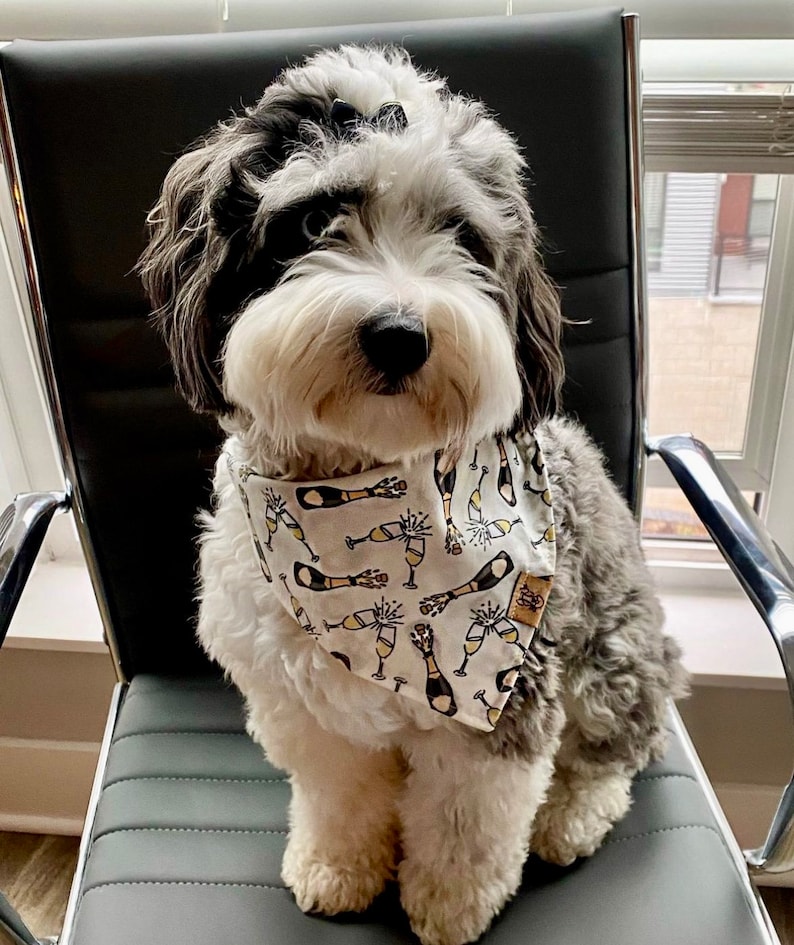 Let's Celebrate Champagne Dog Dog Bandana Engagement Dog Bandana I do Dog Bandana Graduation Dog Bandana Wedding Dog Bandana image 4